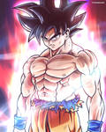 Ultra Instinct Son Goku - DB Super