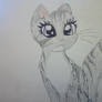 Cat I just drew during class