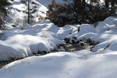 Snowy Creek