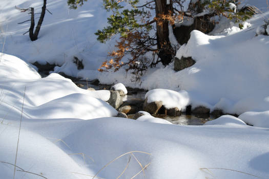 Blanket of snow