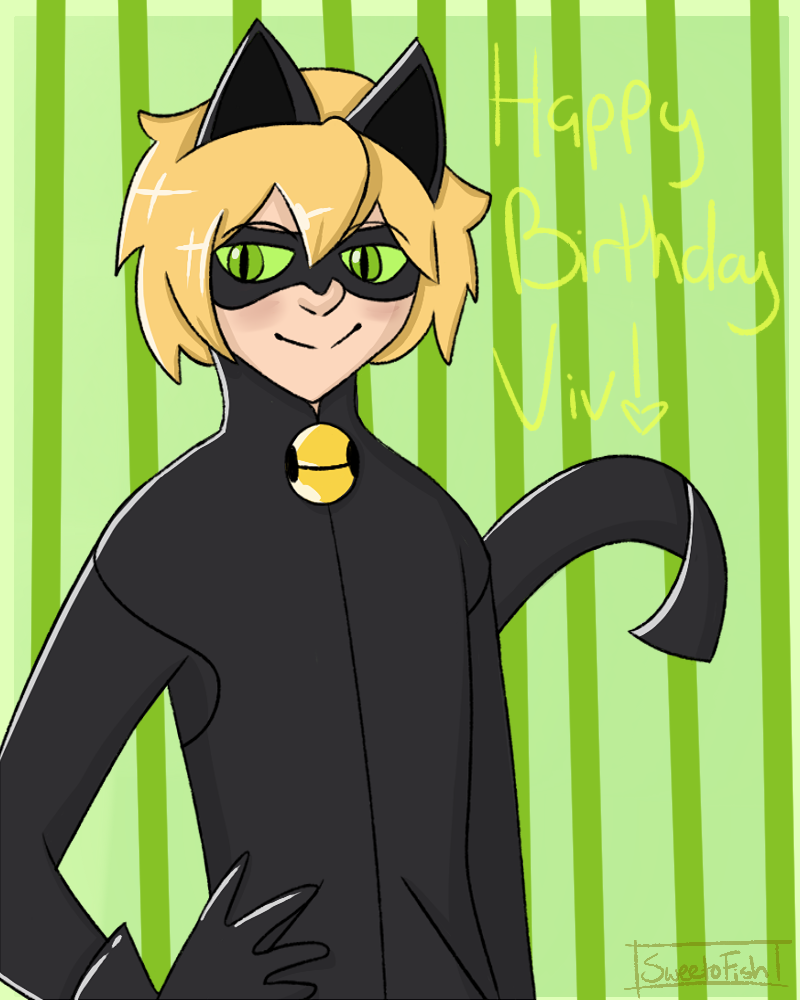 Cat Noir Happy Birthday By Sweetofish On Deviantart Cat Noir Happy Birthday By Sweetofish On Deviantart