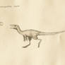 HTKD: Compsognathus