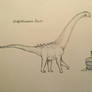 HTKD: Magyarosaurus