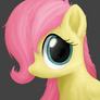 Wary Little Fluttershy