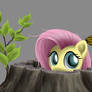 Peek - Fluttershy