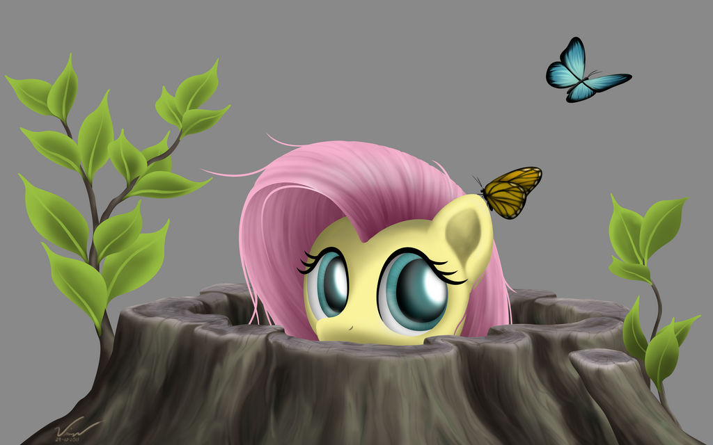Peek - Fluttershy