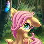 Filly Flutters