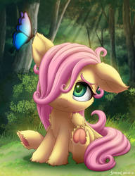 Filly Flutters