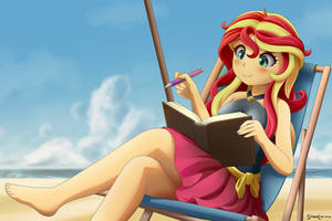 COMMISSION Sunset on the Beach