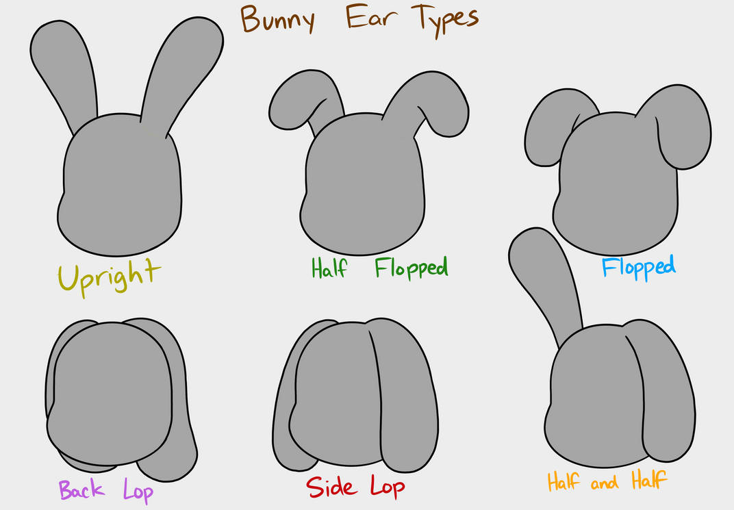 Bunny Ear Types by Katesplace2009 on DeviantArt
