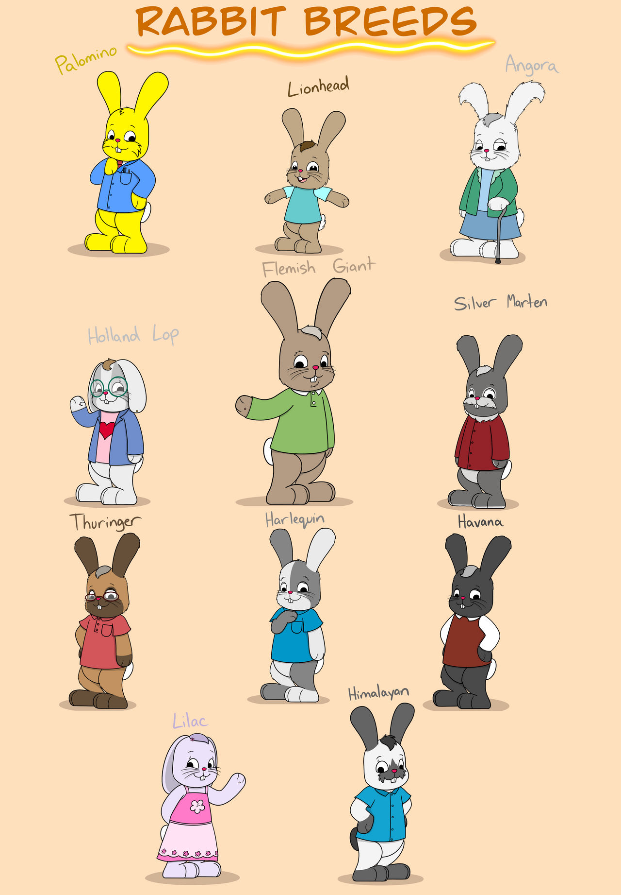 Rabbit Breeds by Katesplace2009 on DeviantArt