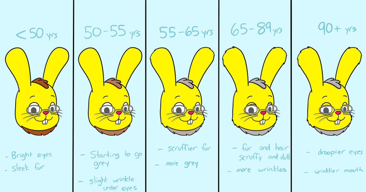 Rabbit Aging Chart by Katesplace2009 on DeviantArt