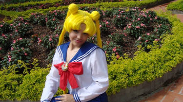 usagi-chan