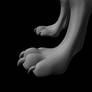 3D anthro Wolf Paw detail