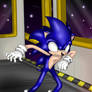 Sonic the hedgehog