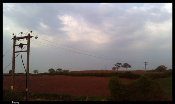 Empty Corn Field