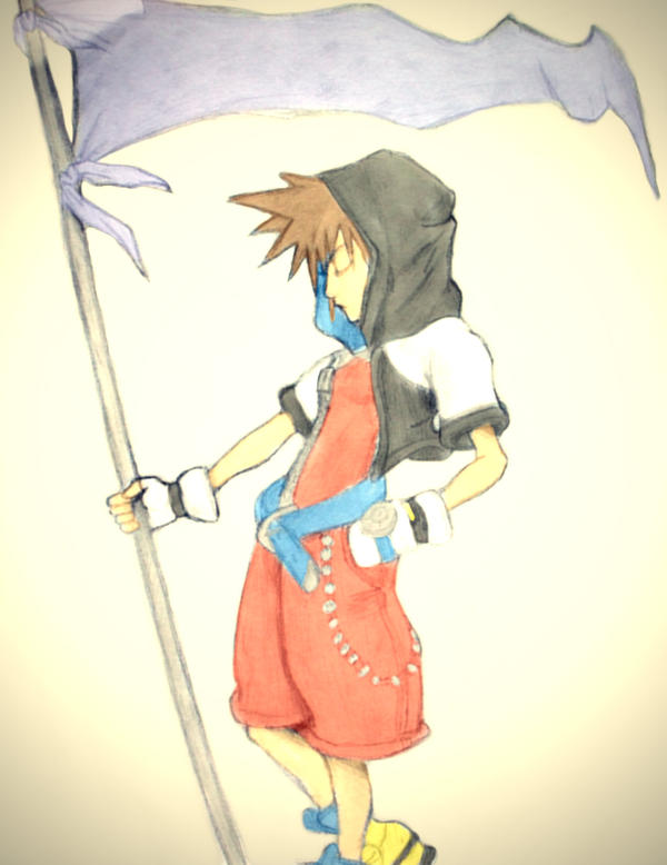 Sora coloured