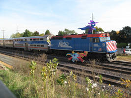 Ponies Running Alongside A Train