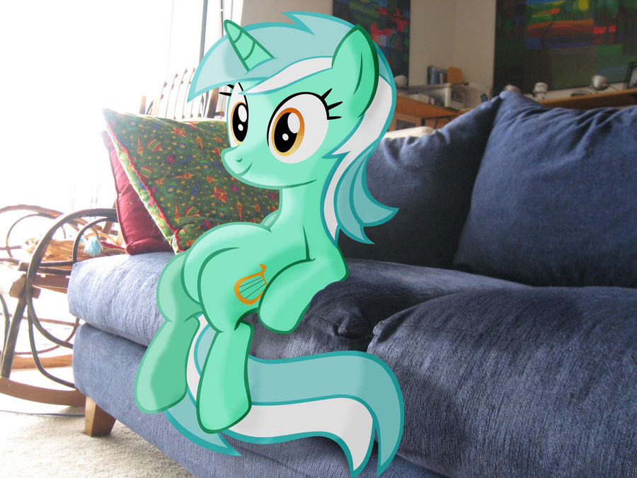 Lyra On My Couch