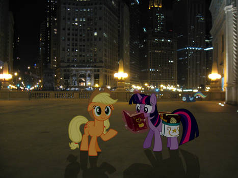 Ponies Hanging Out In Chicago