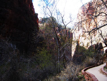 Angel's Landing Trail