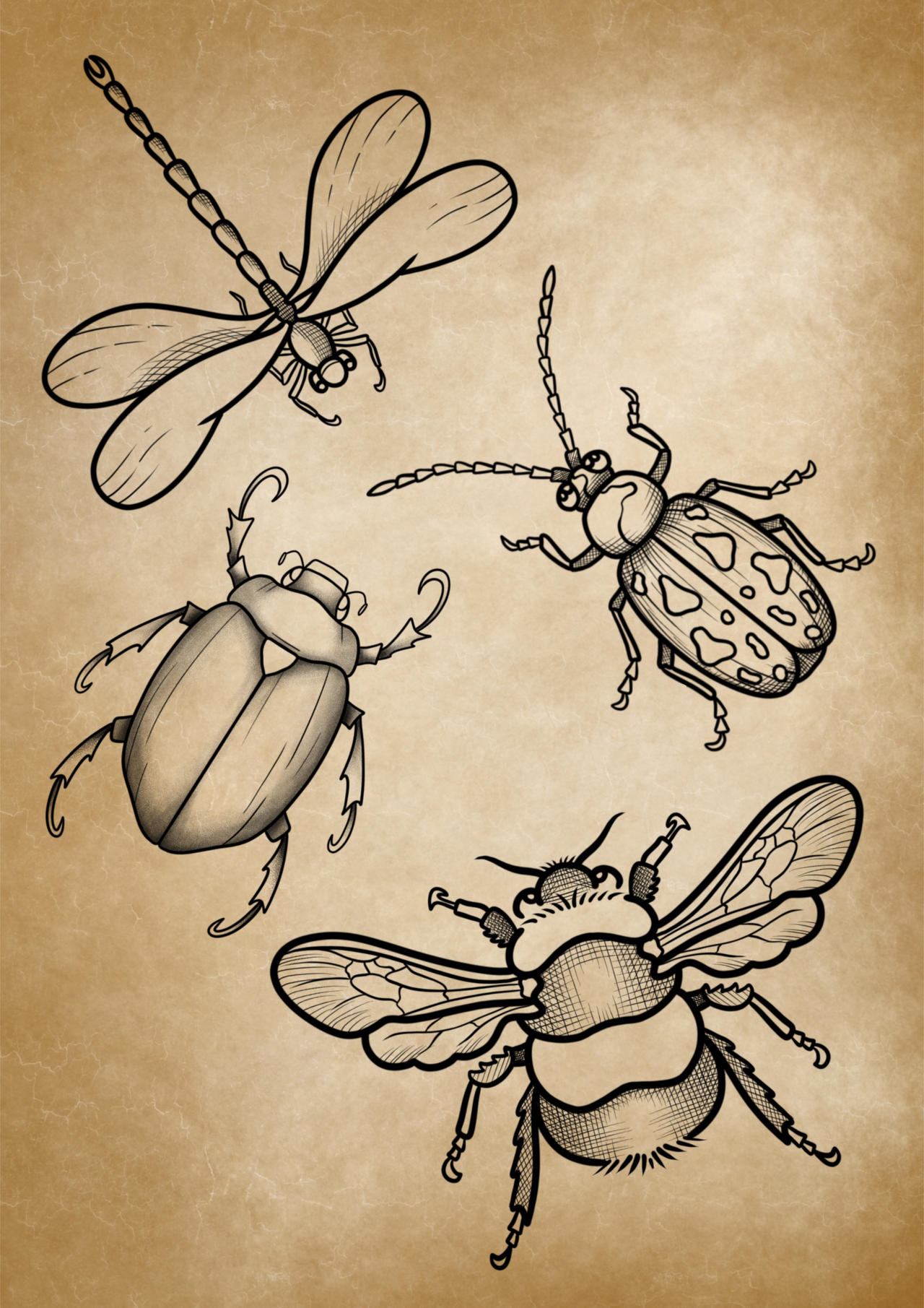 Simple Bug Photos Simple Digital Art- Bug Illustrations by AbbysArtPortfolio on DeviantArt