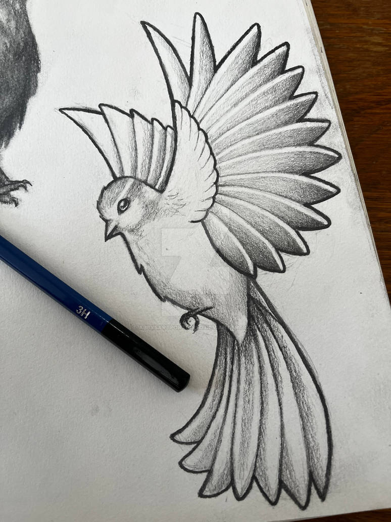 Freehand Pencil Bird Sketch By AbbysArtPortfolio On DeviantArt freehand-pencil-bird-sketch-by-abbysartportfolio-on-deviantart
