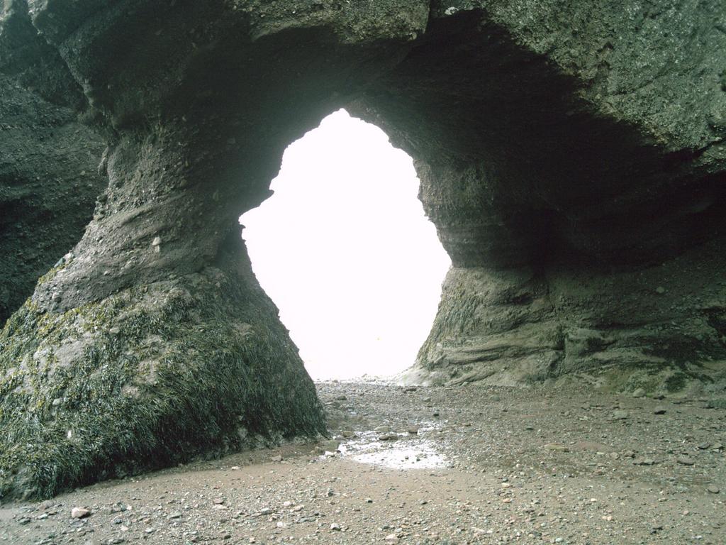 Hopewell Rocks