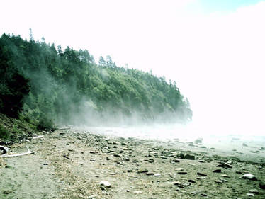 Hopewell Rocks Beach Mist