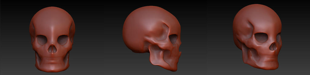 Zbrush Skull - WIP