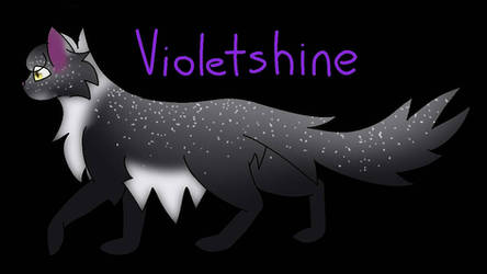 Violetshine