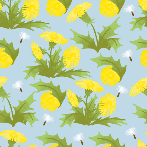 Dandelion Pattern