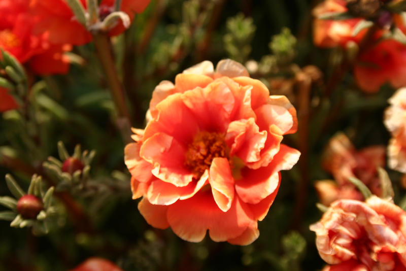 Movie Like by on DeviantArt