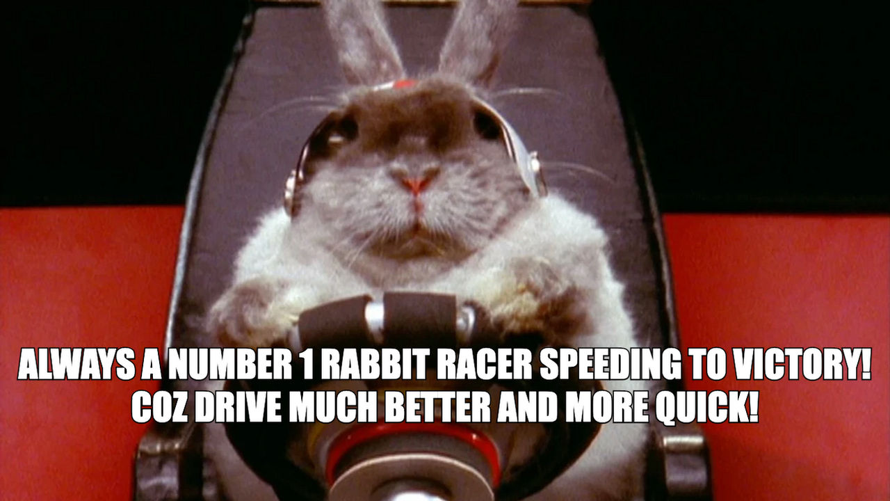 Race Rabbit Meme 2 by Xtremeartwork on DeviantArt