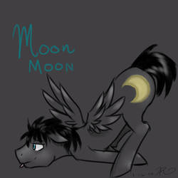 Damn It Moon Moon