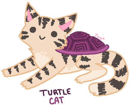 Turtle Cat