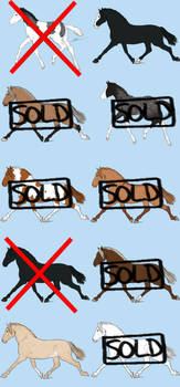 Horse designs for sale