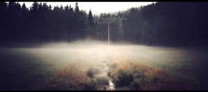 Forest in fog by ecKKKo