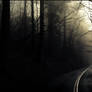 Dark road in the forrest