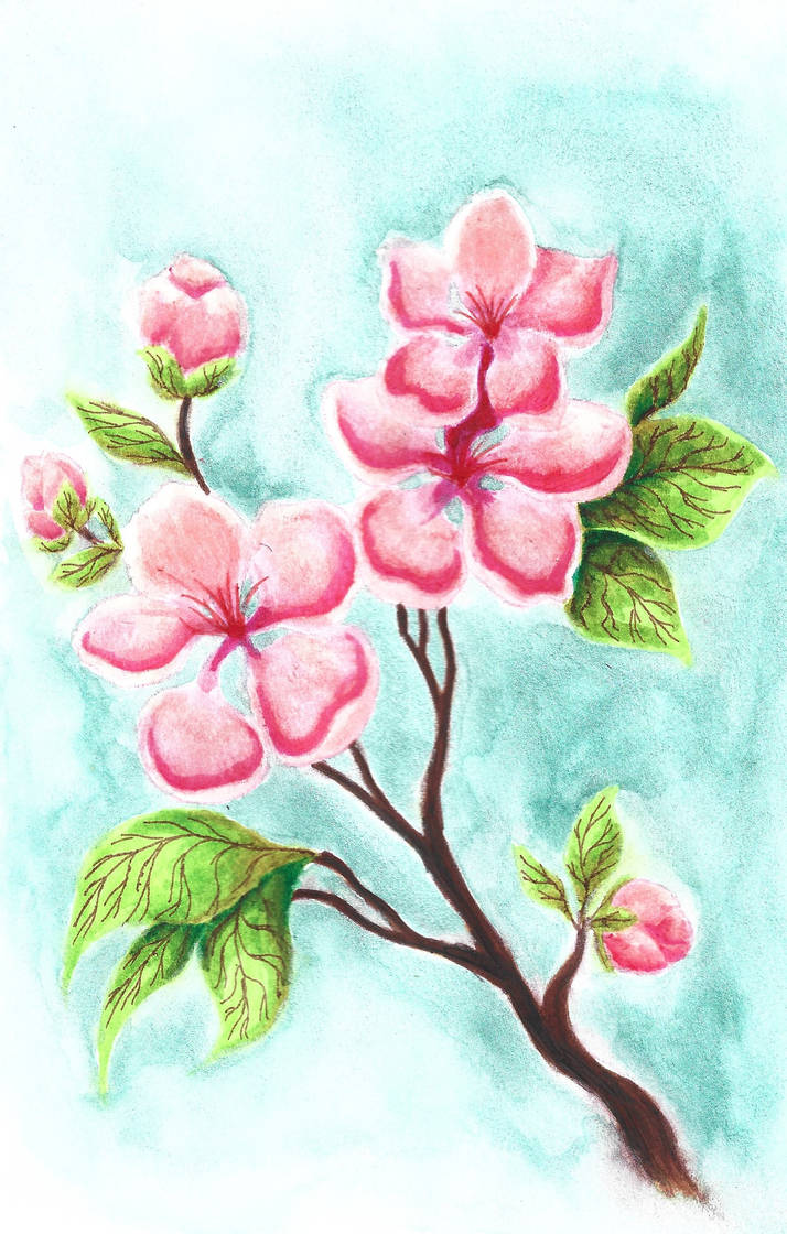 Sakura Cherry Blossom Challenge 2024 By Simplyartista On Deviantart Sakura Cherry Blossom Challenge 2024 By Simplyartista On Deviantart