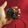 Spiderbaby Black Widow