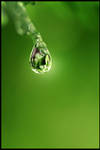 Nature's Tear by sourcow