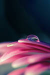 Colour by sourcow