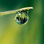 Dewdrop