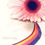 Rainbow Flower