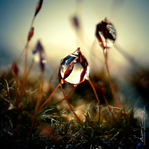 Mini water tower by sourcow on DeviantArt