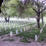 Arlington Cemetary