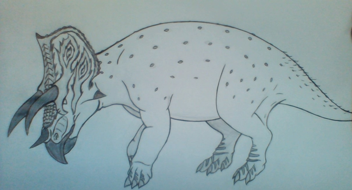 Triceratops