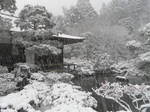 Temple Gardens in Winter