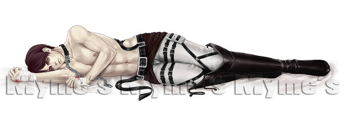 Eren Dakimakura